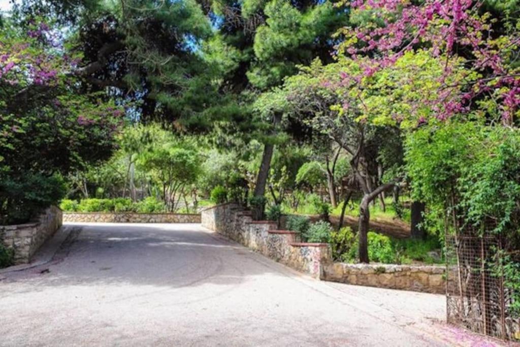 Newly Renovated-City Center Apartment Αθήνα Εξωτερικό φωτογραφία